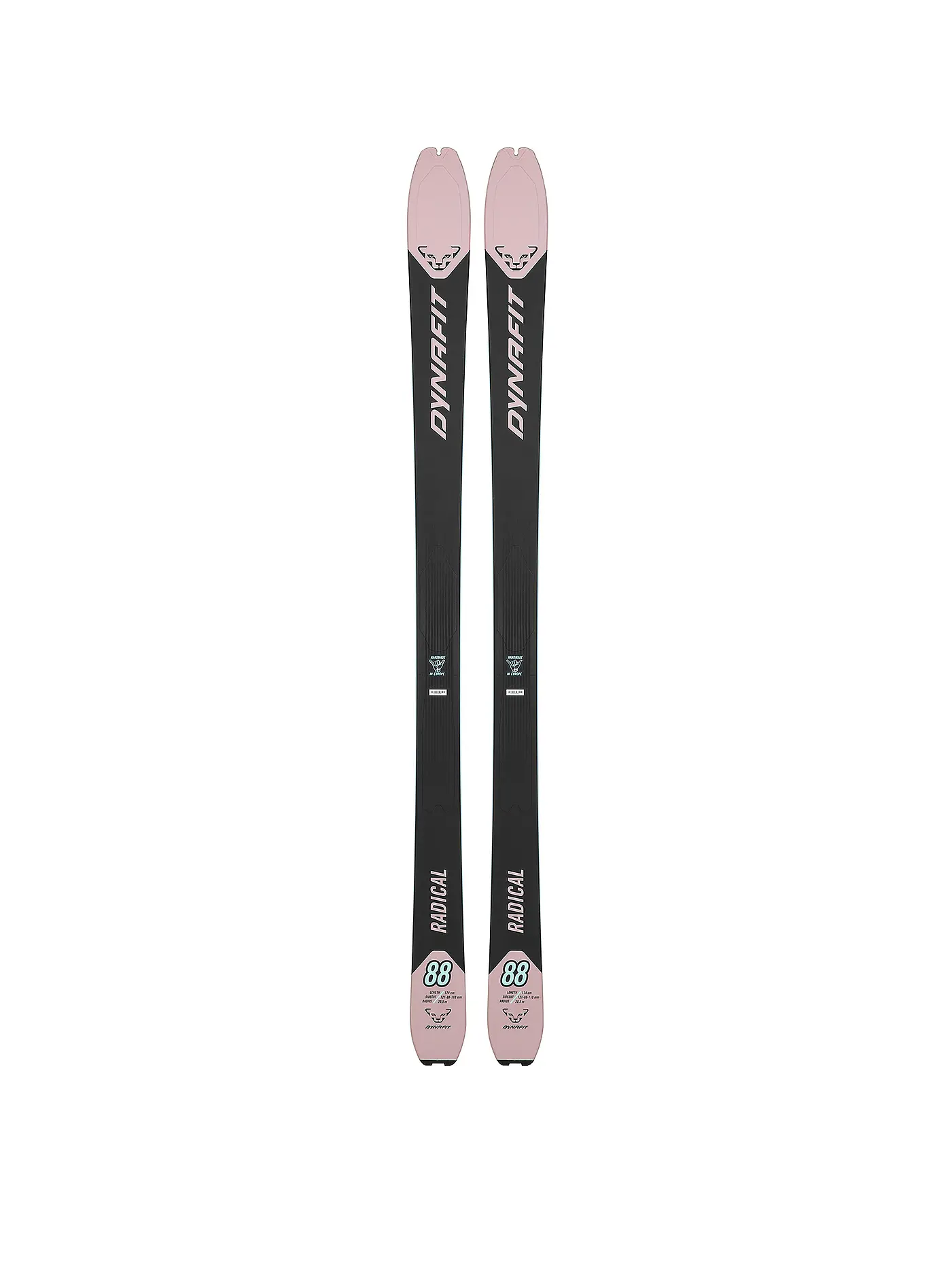 DYNAFIT | Damen Tourenski Radical 88 W Limited Edition | 